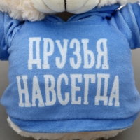 Мягкая игрушка Мишка «Друзья навсегда», в кофте, 13 см Мягкая игрушка Мишка «Друзья навсегда», в кофте, 13 см