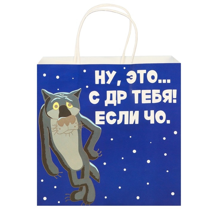 Пакет подарочный "С Др тебя если чо" 22х22х11 см, крафт, упаковка, Жил-был Пес