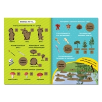 Книга со скретч-слоем «Навстречу приключениям с Машей!», А5, 12 стр., Маша и Медведь Книга со скретч-слоем «Навстречу приключениям с Машей!», А5, 12 стр., Маша и Медведь