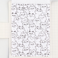 Подарочный набор в открытке: отрывной блок с заданиями и карандаши &laquo;Енот&raquo;