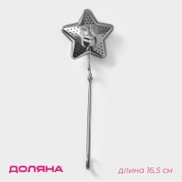 Сито из нержавебщей стали для чая Доляна &laquo;Звезда&raquo;, 16,5 см, цвет серебряный