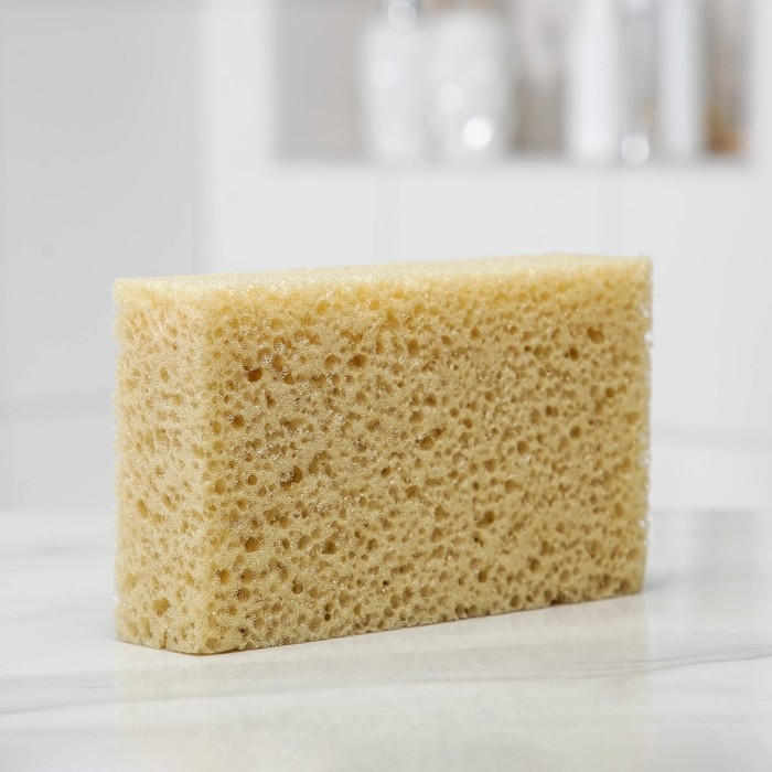 Губка для тела мягкая «Губка морская», 20×11,5×5 см Губка для тела мягкая «Губка морская», 20×11,5×5 см