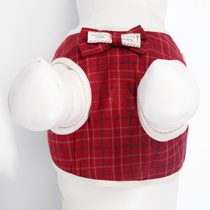 Комплект с мягкой шлейкой "Клетки", размер S, поводок, 120 х 1,5 см, ОГ 28-62 см, красный