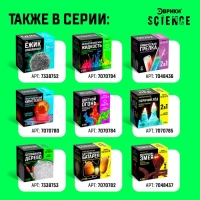 Набор для опытов «Шагающая радуга» Набор для опытов «Шагающая радуга»