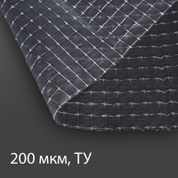 Плёнка армированная для теплиц Greengo, полиэтиленовая с леской, УФ-стабилизатором, 10 &times; 2 м, 200 мкм