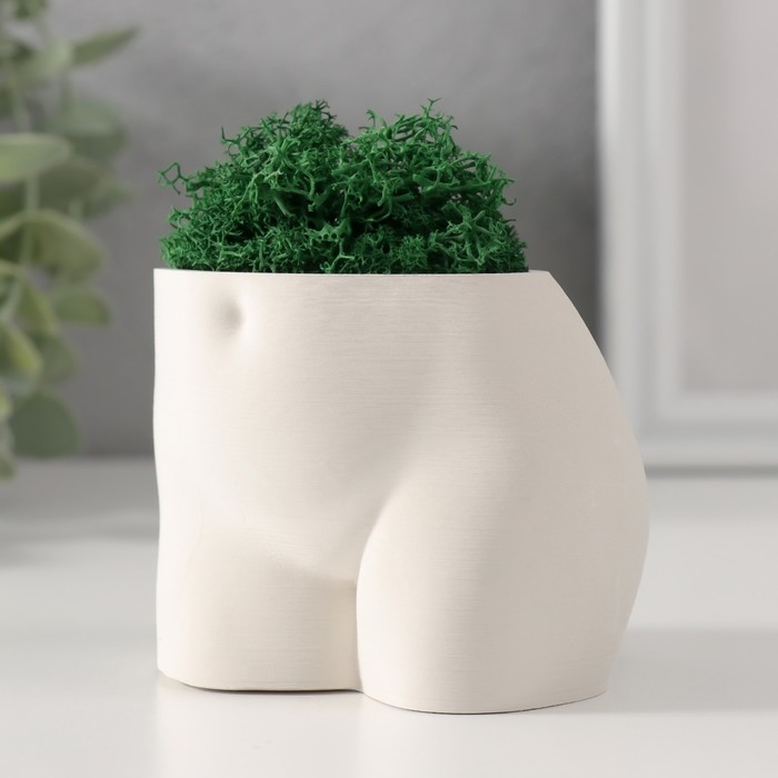 Сувенир "Невинный вид" со мхом высота 6,5см, ширина 8,5см белый (мох зелен. стабилиз)