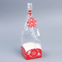 Пакет с коробкой &laquo;Новогодний подарок&raquo;, 9 х 9 х 35 см, Новый год