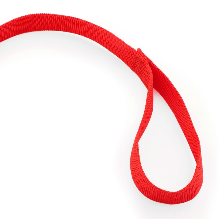Поводок 5 м х 2,5 см, красный