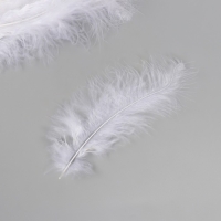 Перо декоративное гусиное пуховое "Белое" набор 40 шт h=10-15 см