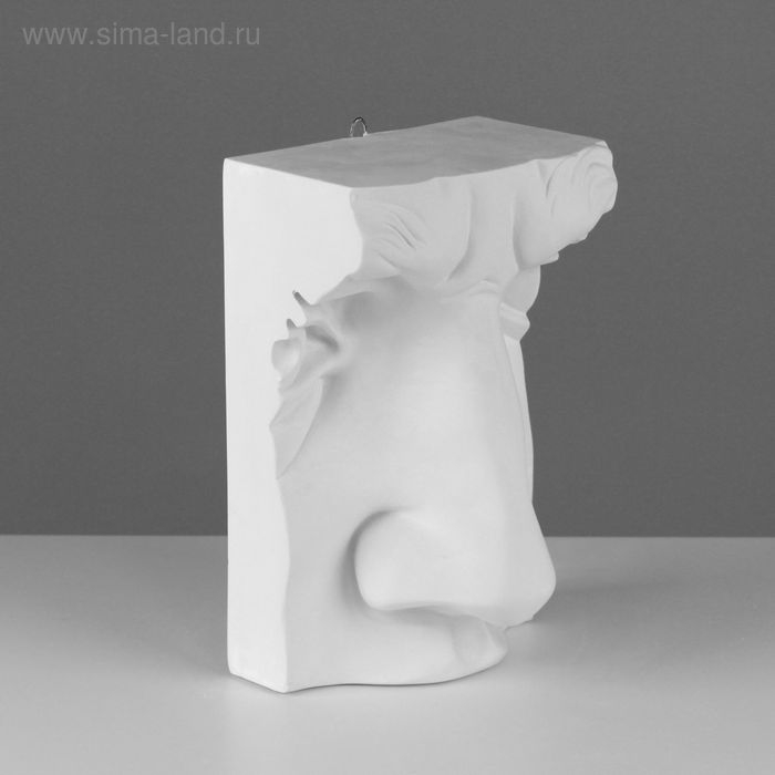 Гипсовая фигура нос Давида, 18 х 15 х 29 см Гипсовая фигура нос Давида, 18 х 15 х 29 см