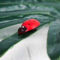 Набор магнитов «Божья коровка», 50 шт., красный Набор магнитов «Божья коровка», 50 шт., красный