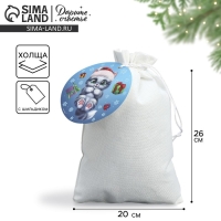 Мешок подарочный «Дружочек», 20 х 30 см +/- 1.5 см, Новый год Мешок подарочный «Дружочек», 20 х 30 см +/- 1.5 см, Новый год