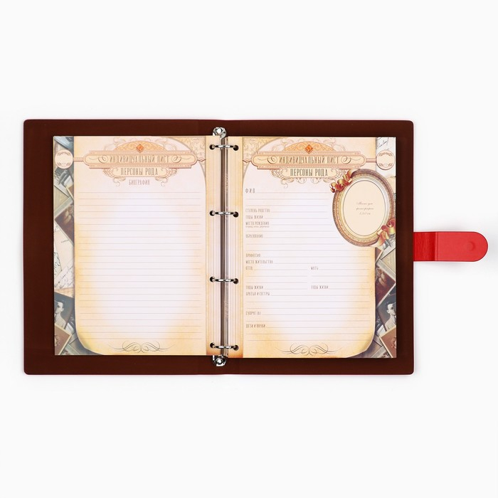 Родословная книга &laquo;Книга нашей семьи&raquo;, 65 листов, 32 х 23 см.