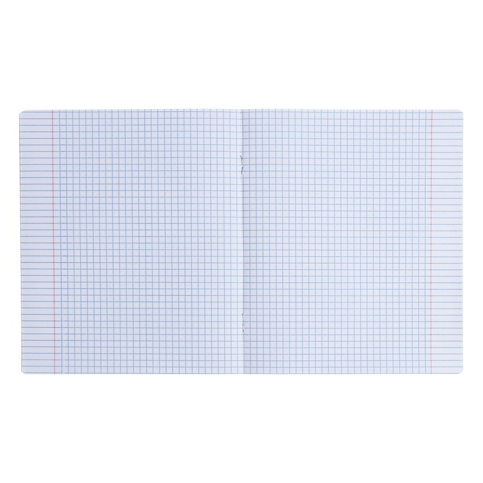 Тетрадь 48 листов в клетку ErichKrause Тетрадь 48 листов в клетку ErichKrause "Найди кота", матовая ламинация, обложка мелованный картон, блок офсет, микс