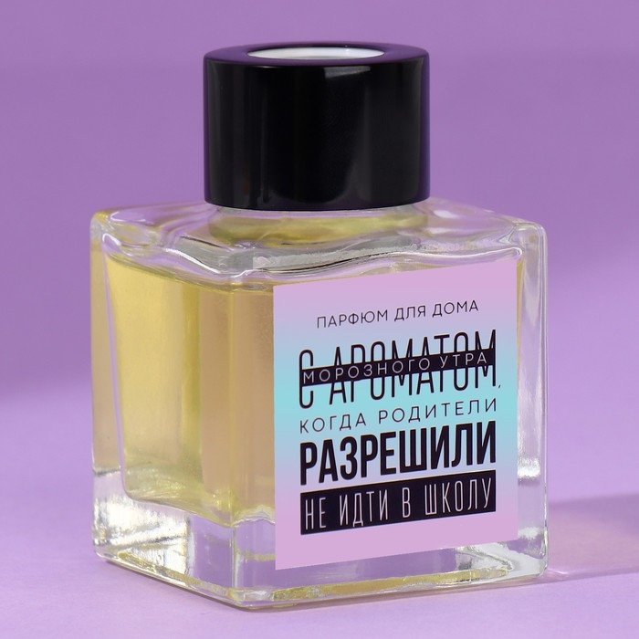 Диффузор ароматический &laquo;Аромат морозного утра&raquo;, апельсин, 50 мл.