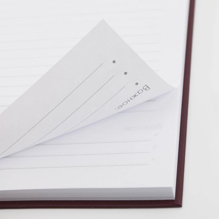 Подарочный набор &laquo;Воспитателю: Лучший воспитатель&raquo;: ежедневник А5, 80 листов, термостакан 350 мл