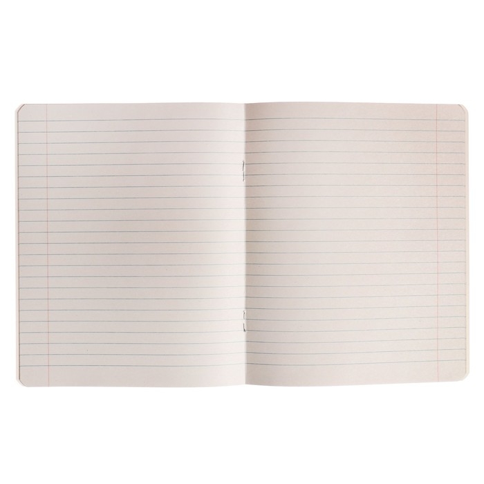 Комплект тетрадей из 10 штук, 18 листов в линию Calligrata "Однотонная Классика с уголком. Эконом", обложка мелованный картон, ВД-лак, блок №2, белизна 75% (серые листы), 5 видов по 2 штуки