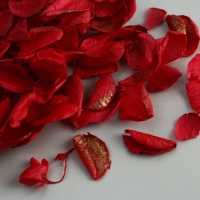 Набор для создания поддона из гипса с сухоцветами &laquo;Овал&raquo;