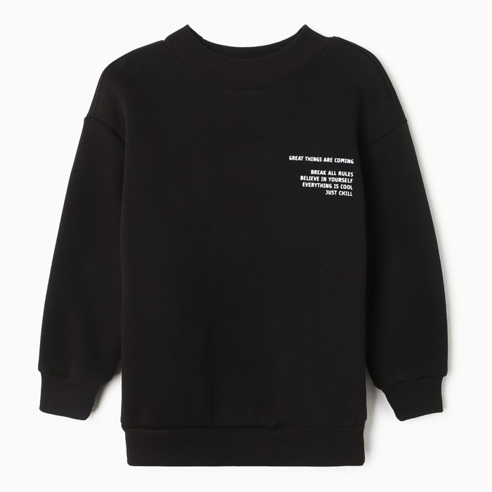 Свитшот для мальчика, цвет чёрный, размер 116 см Свитшот для мальчика, цвет чёрный, размер 116 см