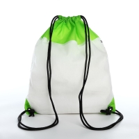 Мешок для обуви под раскраску &laquo;Динозавр&raquo; 34х40 см, спанбонд