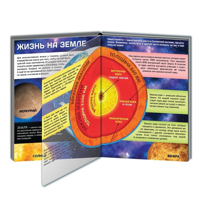 Книга с прозрачными страницами &laquo;Жизнь на земле. Животные и где они обитают&raquo;, 30 стр.