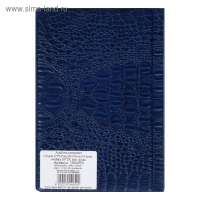 Альбом для монет 125 х 185 мм Calligrata, на 240 монет, ячейка 26 х 29 мм, 10 листов, обложка искусственная кожа, синий