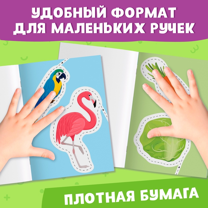 Мои первые вырезалки &laquo;Контуры&raquo;, 3 уровень, 43 картинки, 3+