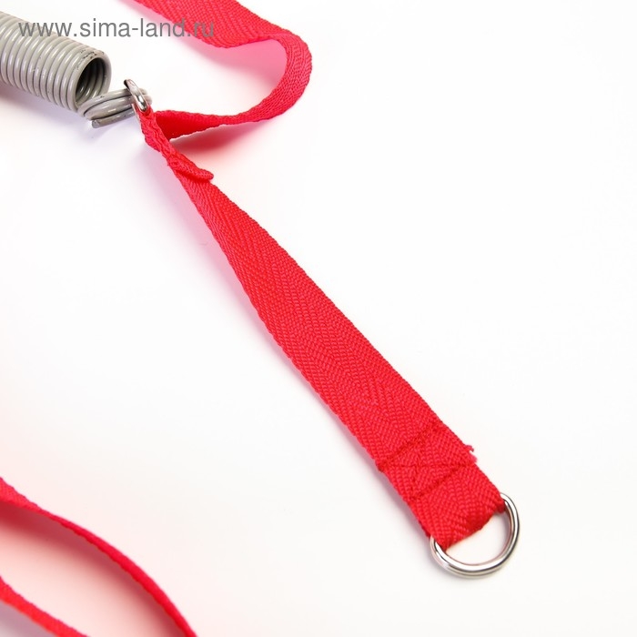 Прыгунки №1, 2в1, &laquo;Киса&raquo;, цвет МИКС