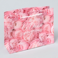 Пакет подарочный ламинированный, упаковка, &laquo;С Днём рождения!&raquo;, MS 23 х 18 х 8 см