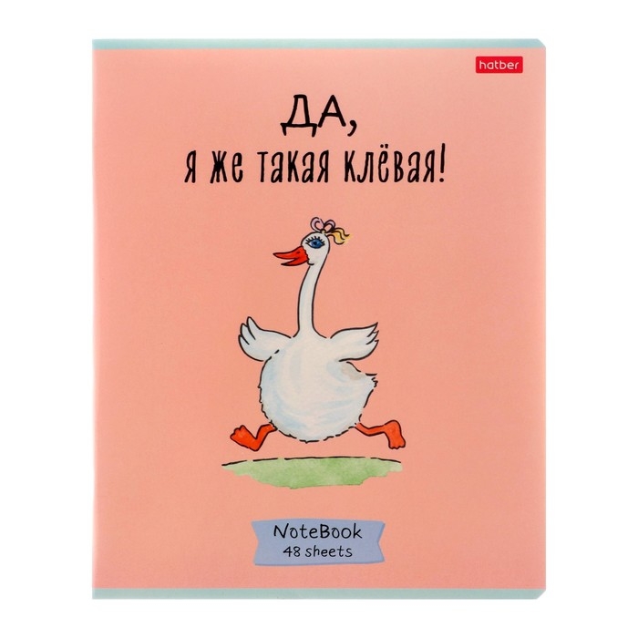 Тетрадь 48 листов в клетку Тетрадь 48 листов в клетку "Гусь-веселюсь №1", обложка мелованный картон, скругленные углы, 5В, МИКС