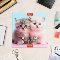 Календарь перекидной на скрепке "Весёлые котята" 2025 год, 6 листов, 29х29 см Календарь перекидной на скрепке "Весёлые котята" 2025 год, 6 листов, 29х29 см