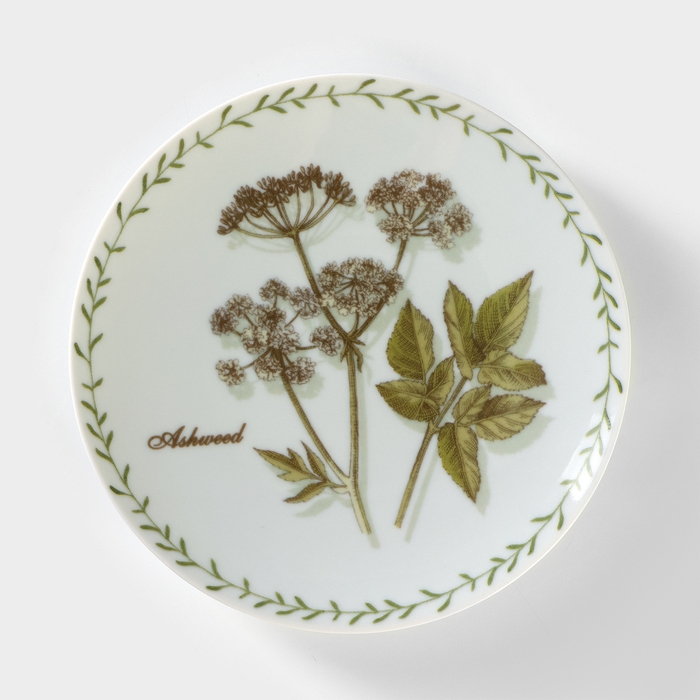 Тарелка фарфоровая «Ботаника. Сныть», d=20 см Тарелка фарфоровая «Ботаника. Сныть», d=20 см