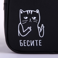 Рюкзак школьный из искусственной кожи &laquo;Бесите&raquo; 27х23х10 см