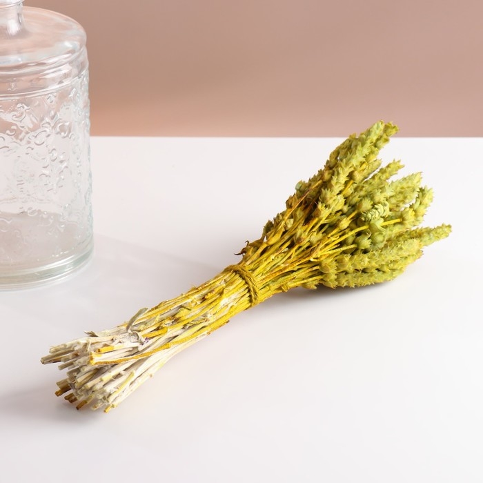 Набор сухоцветов "Железница", банч длина 35 (+/- 6 см), фисташковый