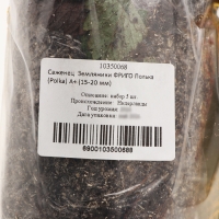 Саженец Земляники ФРИГО Полька (Polka) A+ (15-20 мм), 5 шт Саженец Земляники ФРИГО Полька (Polka) A+ (15-20 мм), 5 шт