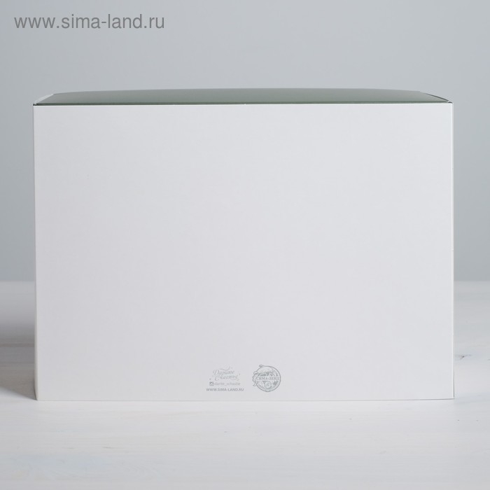 Коробка подарочная складная, упаковка, Present for you, 25 х 18 х 10 см