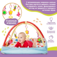 Развивающий коврик с дугами &laquo;Совушкин дом&raquo;, 110х83 см.