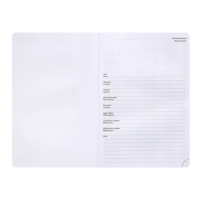 Ежедневник недатированный A5, 160 листов, deVENTE.Couple with umbrella, твёрдая обложка из искусственной кожи с поролоном, 2 ляссе, блок 70 г/м2