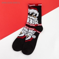 Носки новогодние мужские KAFTAN "Санта" размер 41-44 (27-29 см), цвет чёрный Носки новогодние мужские KAFTAN "Санта" размер 41-44 (27-29 см), цвет чёрный