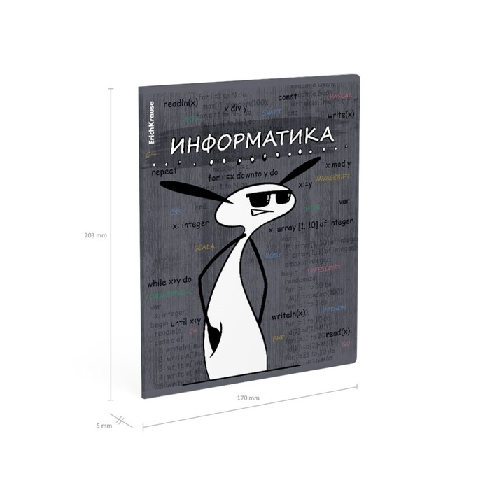 Тетрадь предметная ИНФОРМАТИКА, 48 листов в клетку, ErichKrause Тетрадь предметная ИНФОРМАТИКА, 48 листов в клетку, ErichKrause "Чубрик", пластиковая обложка, шелкография, блок офсет 100% белизна, инфо-блок