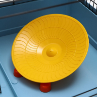 Клетка для грызунов "Хома 3", 50 x 37 x 42 см, микс цветов Клетка для грызунов "Хома 3", 50 x 37 x 42 см, микс цветов