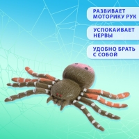 Фигурка животного тянущаяся &laquo;Паук&raquo;, МИКС
