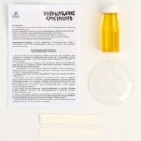 Выращивание кристаллов &laquo;Опыты. Лучистый кристалл&raquo;, цвет жёлтый