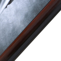 Картина "Девушка и леопард" 56х106см рамка микс