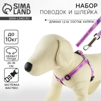 Комплект &laquo;Маленькая леди&raquo;, шлейка 24-36 см, поводок 120х1 см