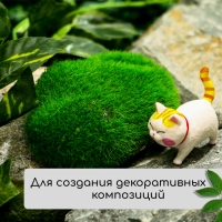 Мох искусственный &laquo;Камни&raquo;, набор 3 шт., Greengo