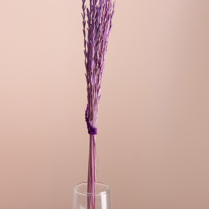 Набор сухоцветов "Райграс", банч 21 шт, длина 60 (+/- 6 см), сиреневый