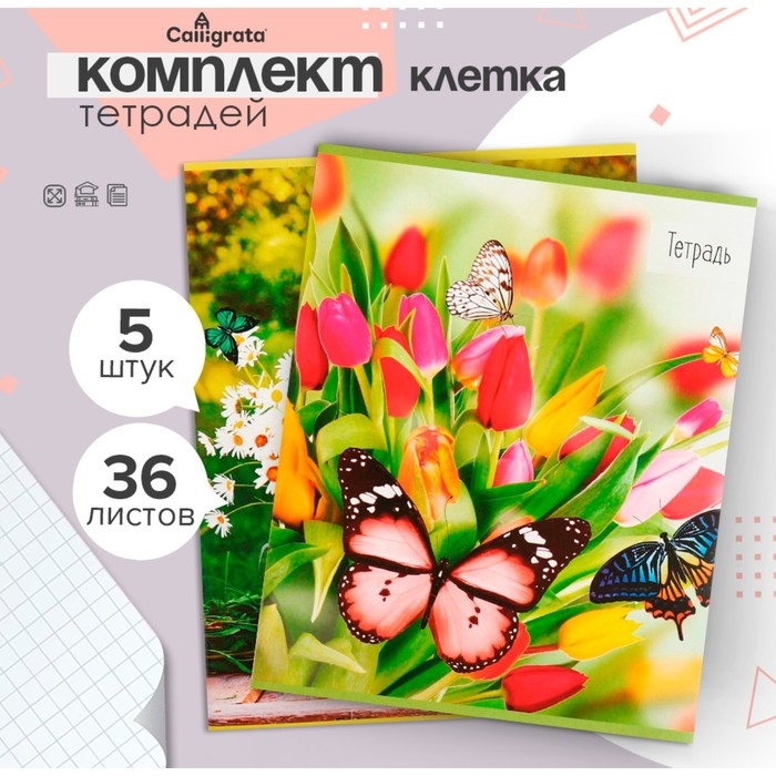 Комплект тетрадей из 5 штук (4 разные + 1 повторяющаяся), 36 листов в клетку Calligrata Комплект тетрадей из 5 штук (4 разные + 1 повторяющаяся), 36 листов в клетку Calligrata "Бабочки", обложка мелованная бумага, блок №2, белизна 75% (серые листы)