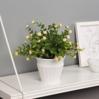 Бонсай в горшке "Гомфрена премиум" 21х10 см, микс Бонсай в горшке "Гомфрена премиум" 21х10 см, микс