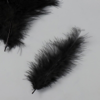 Перо декоративное гусиное пуховое "Чёрное" набор 40 шт h=10-15 см
